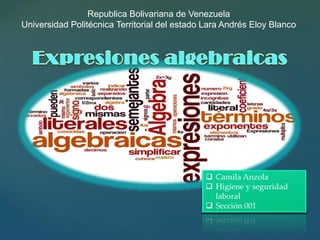 {
❑ Camila Anzola
❑ Higiene y seguridad
laboral
❑ Sección 001
Republica Bolivariana de Venezuela
Universidad Politécnica Territorial del estado Lara Andrés Eloy Blanco
 