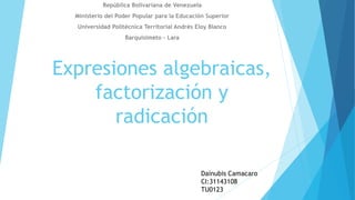 Expresiones algebraicas factorización y radicación.pptx