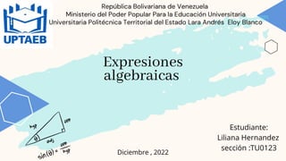 República Bolivariana de Venezuela
Ministerio del Poder Popular Para la Educación Universitaria
Universitaria Politécnica Territorial del Estado Lara Andrés Eloy Blanco
Expresiones
algebraicas
Estudiante:
Liliana Hernandez
sección :TU0123
Diciembre , 2022
 