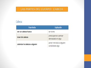 LAS PARTES DEL CUERPO: CABEZA
 
