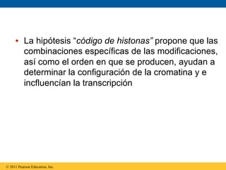•  La hipótesis “código de histonas” propone que las
        combinaciones específicas de las modificaciones,
        así como el orden en que se producen, ayudan a
        determinar la configuración de la cromatina y e
        incfluencían la transcripción




© 2011 Pearson Education, Inc.
 