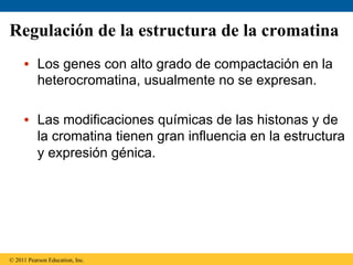 Regulación de la estructura de la cromatina
     •  Los genes con alto grado de compactación en la
        heterocromatina, usualmente no se expresan.

     •  Las modificaciones químicas de las histonas y de
        la cromatina tienen gran influencia en la estructura
        y expresión génica.




© 2011 Pearson Education, Inc.
 
