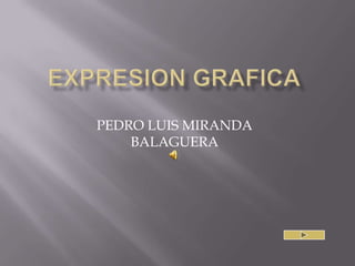 Expresion grafica PEDRO LUIS MIRANDA BALAGUERA 
