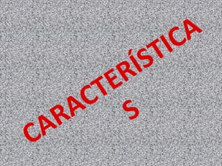 CARACTERÍSTICA
S
 
