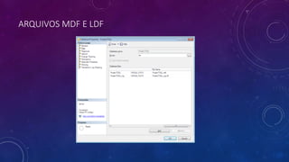 ARQUIVOS MDF E LDF
 