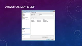 ARQUIVOS MDF E LDF
 