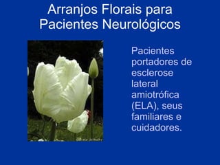 Arranjos Florais para Pacientes Neurológicos P acientes portadores de esclerose lateral amiotrófica (ELA), seu s  familiares e cuidadores. 