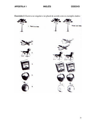 APOSTILA 1 INGLÊS CEESVO
28
Exercício 2: Escreva no singular e no plural de acordo com os exemplos dados:
 