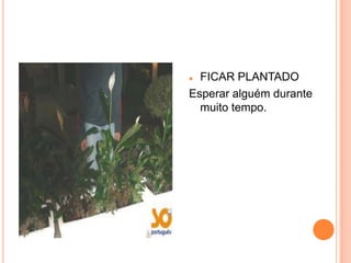  FICAR PLANTADO
Esperar alguém durante
  muito tempo.
 