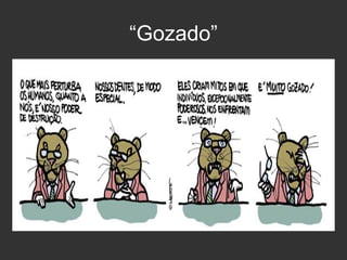 “Gozado”

 