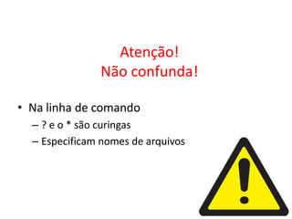 Atenção!
               Não confunda!

• Na linha de comando
  – ? e o * são curingas
  – Especificam nomes de arquivos
 