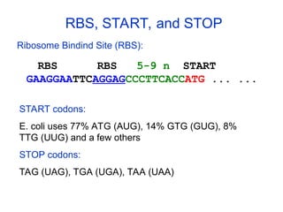 Coli Rbs Recombinant proteins in vitro Expressing system .ppt