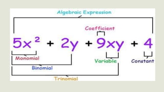 Algebraic Expressions