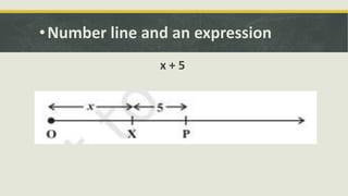 •Number line and an expression
x + 5
 
