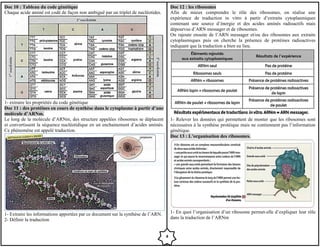 Doc 10 : Tableau du code génétique
Chaque acide aminé est codé de façon non ambiguë par un triplet de nucléotides.
1- extraire les propriétés du code génétique
Doc 11 : des protéines en cours de synthèse dans le cytoplasme à partir d’une
molécule d’ARNm.
Le long de la molécule d’ARNm, des structure appelées ribosomes se déplacent
et convertissent la séquence nucléotidique en un enchainement d’acides aminés.
Ce phénomène est appelé traduction.
1- Extraire les informations apportées par ce document sur la synthèse de l’ARN.
2- Définir la traduction
Doc 12 : les ribosomes
Afin de mieux comprendre le rôle des ribosomes, on réalise une
expérience de traduction in vitro à partir d’extraits cytoplasmiques
contenant une source d’énergie et des acides aminés radioactifs mais
dépourvus d’ARN messager et de ribosomes.
On rajoute ensuite de l’ARN messager et/ou des ribosomes aux extraits
cytoplasmiques puis on cherche la présence de protéines radioactives
indiquant que la traduction a bien eu lieu.
1- Relever les données qui permettent de monter que les ribosomes sont
nécessaires à la synthèse protéique mais ne contiennent pas l’information
génétique.
Doc 13 : L’organisation des ribosomes.
1- En quoi l’organisation d’un ribosome permet-elle d’expliquer leur rôle
dans la traduction de l’ARNm
4
 