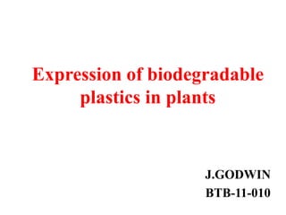 Expression of biodegradable
plastics in plants
J.GODWIN
BTB-11-010
 