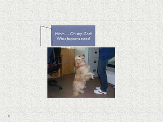 Mmm... - Oh, my God!
What happens next?
 