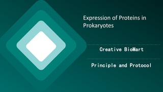 Expression of Proteins in
Prokaryotes
Creative BioMart
Principle and Protocol
 
