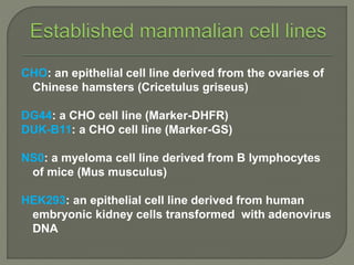 Expression of recombinant proteins in mammalian cell lines | PPTX