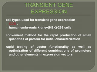 Expression of recombinant proteins in mammalian cell lines | PPTX