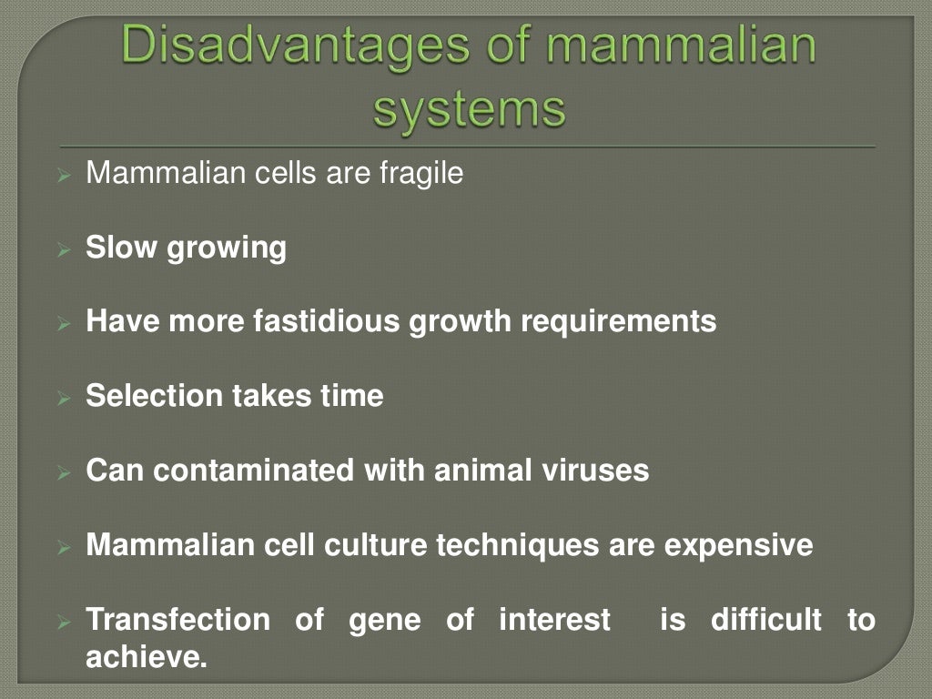 Expression of proteins in mammalian cell lines