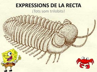 EXPRESSIONS DE LA RECTA ¡Tots som trilobits! 
