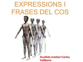 EXPRESSIONS I
FRASES DEL COS
Acollida Institut Carles
Vallbona
 