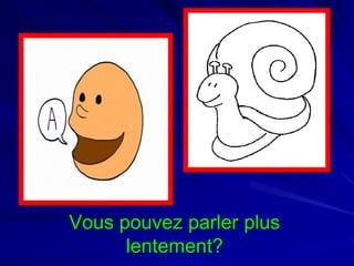 Vous pouvez parler plus
lentement?

 
