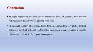 Expression system | PPTX
