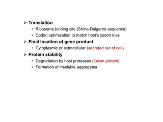  Translation
   • Ribosome binding site (Shine-Delgarno sequence)
   • Codon optimization to match host's codon bias
 Final location of gene product
   • Cytoplasmic or extracellular (secreted out of cell)
 Protein stability
   • Degradation by host proteases (fusion protein)
   • Formation of insoluble aggregates
 