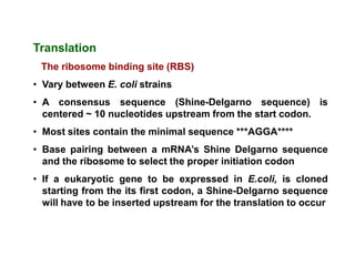 Translation
 The ribosome binding site (RBS)
• Vary between E. coli strains
• A consensus sequence (Shine-Delgarno sequence) is
  centered ~ 10 nucleotides upstream from the start codon.
• Most sites contain the minimal sequence ***AGGA****
• Base pairing between a mRNA’s Shine Delgarno sequence
  and the ribosome to select the proper initiation codon
• If a eukaryotic gene to be expressed in E.coli, is cloned
  starting from the its first codon, a Shine-Delgarno sequence
  will have to be inserted upstream for the translation to occur
 