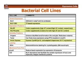 Expression systems | PPTX