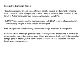 Baculovirus Expression Vectors
•Baculoviruses are a diverse group of insect-specific viruses, predominantly infecting
insect larvae of the order Lepidoptera. By far the most widely studied member of this
family is Autographa californica nucleopolyhedrovirus (AcMNPV).
•AcMNPV has a circular, double-stranded, super-coiled DNA genome of approximately
130 kilobases packaged in a rod-shaped nucleocapsid.
•The virus genome can effectively accommodate large insertions of foreign DNA.
• Such insertions of foreign genes into the AcMNPV genome has resulted in production
of baculovirus expression vectors; recombinant viruses genetically modified to contain a
foreign gene of interest, which can be expressed in insect cells under the control of a
baculovirus gene promoter.
 