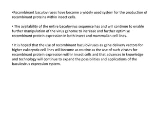 •Recombinant baculoviruses have become a widely used system for the production of
recombinant proteins within insect cells.
• The availability of the entire baculovirus sequence has and will continue to enable
further manipulation of the virus genome to increase and further optimise
recombinant protein expression in both insect and mammalian cell lines.
• It is hoped that the use of recombinant baculoviruses as gene delivery vectors for
higher eukaryotic cell lines will become as routine as the use of such viruses for
recombinant protein expression within insect cells and that advances in knowledge
and technology will continue to expand the possibilities and applications of the
baculovirus expression system.
 