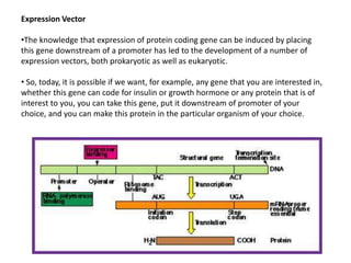 Expression Vector
•The knowledge that expression of protein coding gene can be induced by placing
this gene downstream of a promoter has led to the development of a number of
expression vectors, both prokaryotic as well as eukaryotic.
• So, today, it is possible if we want, for example, any gene that you are interested in,
whether this gene can code for insulin or growth hormone or any protein that is of
interest to you, you can take this gene, put it downstream of promoter of your
choice, and you can make this protein in the particular organism of your choice.
 