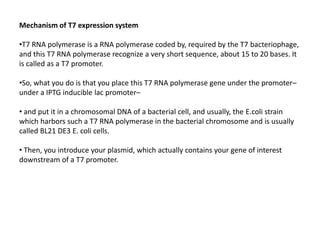 Mechanism of T7 expression system
•T7 RNA polymerase is a RNA polymerase coded by, required by the T7 bacteriophage,
and this T7 RNA polymerase recognize a very short sequence, about 15 to 20 bases. It
is called as a T7 promoter.
•So, what you do is that you place this T7 RNA polymerase gene under the promoter–
under a IPTG inducible lac promoter–
• and put it in a chromosomal DNA of a bacterial cell, and usually, the E.coli strain
which harbors such a T7 RNA polymerase in the bacterial chromosome and is usually
called BL21 DE3 E. coli cells.
• Then, you introduce your plasmid, which actually contains your gene of interest
downstream of a T7 promoter.
 