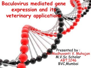 Baculovirus mediated gene
   expression and its
 veterinary applications




                      Presented by :
                 Dr.Madhuvanti V. Mahajan
                     M.V.Sc Scholar
                        ABT,1246
                       BVC,Mumbai
 