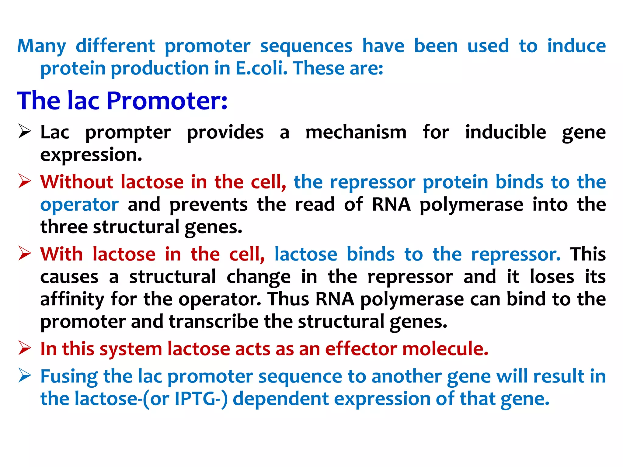 Many different promoter sequences have been used to induce
protein production in E.coli. These are:
The lac Promoter:
 Lac prompter provides a mechanism for inducible gene
expression.
 Without lactose in the cell, the repressor protein binds to the
operator and prevents the read of RNA polymerase into the
three structural genes.
 With lactose in the cell, lactose binds to the repressor. This
causes a structural change in the repressor and it loses its
affinity for the operator. Thus RNA polymerase can bind to the
promoter and transcribe the structural genes.
 In this system lactose acts as an effector molecule.
 Fusing the lac promoter sequence to another gene will result in
the lactose-(or IPTG-) dependent expression of that gene.
 