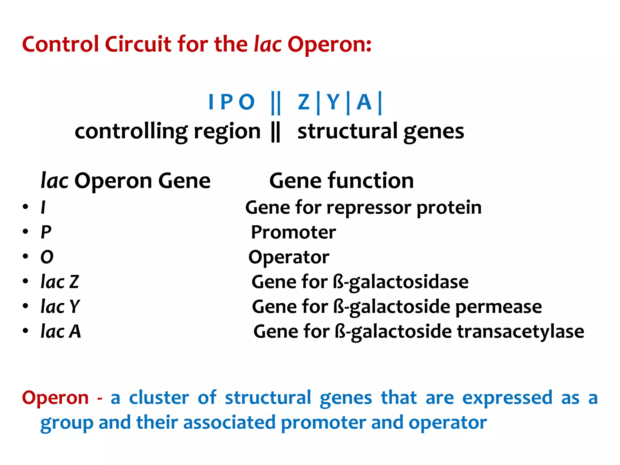 Control Circuit for the lac Operon:
I P O || Z | Y | A |
controlling region ǁ structural genes
lac Operon Gene Gene function
• I Gene for repressor protein
• P Promoter
• O Operator
• lac Z Gene for ß-galactosidase
• lac Y Gene for ß-galactoside permease
• lac A Gene for ß-galactoside transacetylase
Operon - a cluster of structural genes that are expressed as a
group and their associated promoter and operator
 
