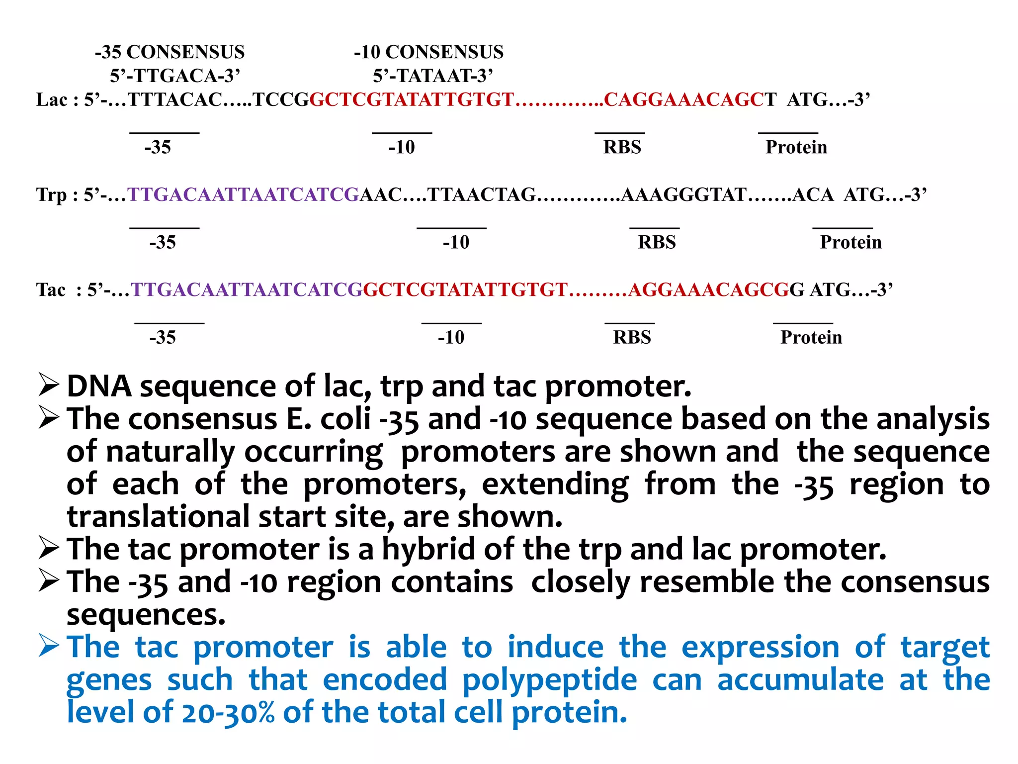 -35 CONSENSUS -10 CONSENSUS
5’-TTGACA-3’ 5’-TATAAT-3’
Lac : 5’-…TTTACAC…..TCCGGCTCGTATATTGTGT…………..CAGGAAACAGCT ATG…-3’
_______ ______ _____ ______
-35 -10 RBS Protein
Trp : 5’-…TTGACAATTAATCATCGAAC….TTAACTAG………….AAAGGGTAT…….ACA ATG…-3’
_______ _______ _____ ______
-35 -10 RBS Protein
Tac : 5’-…TTGACAATTAATCATCGGCTCGTATATTGTGT………AGGAAACAGCGG ATG…-3’
_______ ______ _____ ______
-35 -10 RBS Protein
DNA sequence of lac, trp and tac promoter.
The consensus E. coli -35 and -10 sequence based on the analysis
of naturally occurring promoters are shown and the sequence
of each of the promoters, extending from the -35 region to
translational start site, are shown.
The tac promoter is a hybrid of the trp and lac promoter.
The -35 and -10 region contains closely resemble the consensus
sequences.
The tac promoter is able to induce the expression of target
genes such that encoded polypeptide can accumulate at the
level of 20-30% of the total cell protein.
 