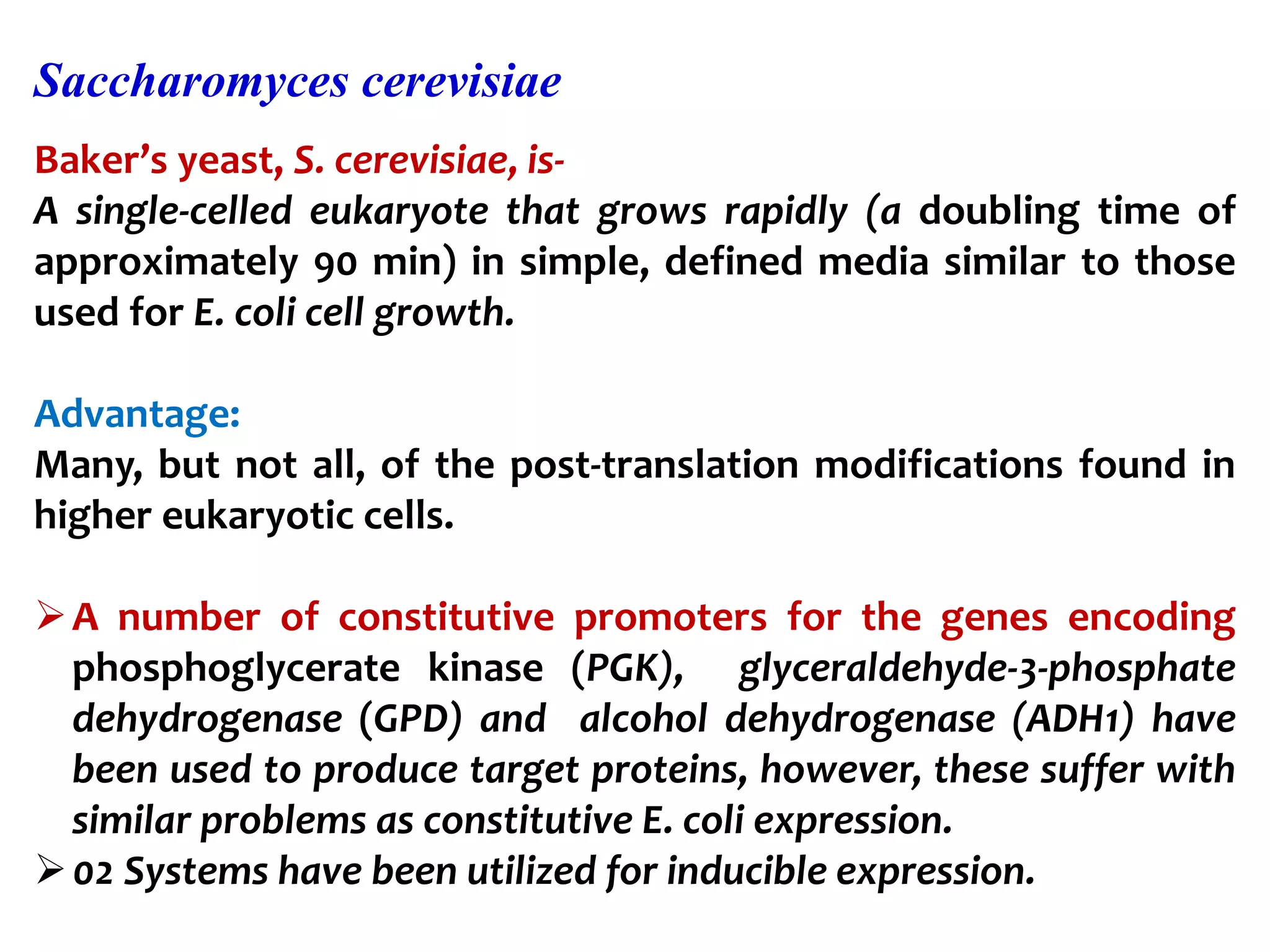 Baker’s yeast, S. cerevisiae, is-
A single-celled eukaryote that grows rapidly (a doubling time of
approximately 90 min) in simple, defined media similar to those
used for E. coli cell growth.
Advantage:
Many, but not all, of the post-translation modifications found in
higher eukaryotic cells.
A number of constitutive promoters for the genes encoding
phosphoglycerate kinase (PGK), glyceraldehyde-3-phosphate
dehydrogenase (GPD) and alcohol dehydrogenase (ADH1) have
been used to produce target proteins, however, these suffer with
similar problems as constitutive E. coli expression.
02 Systems have been utilized for inducible expression.
Saccharomyces cerevisiae
 