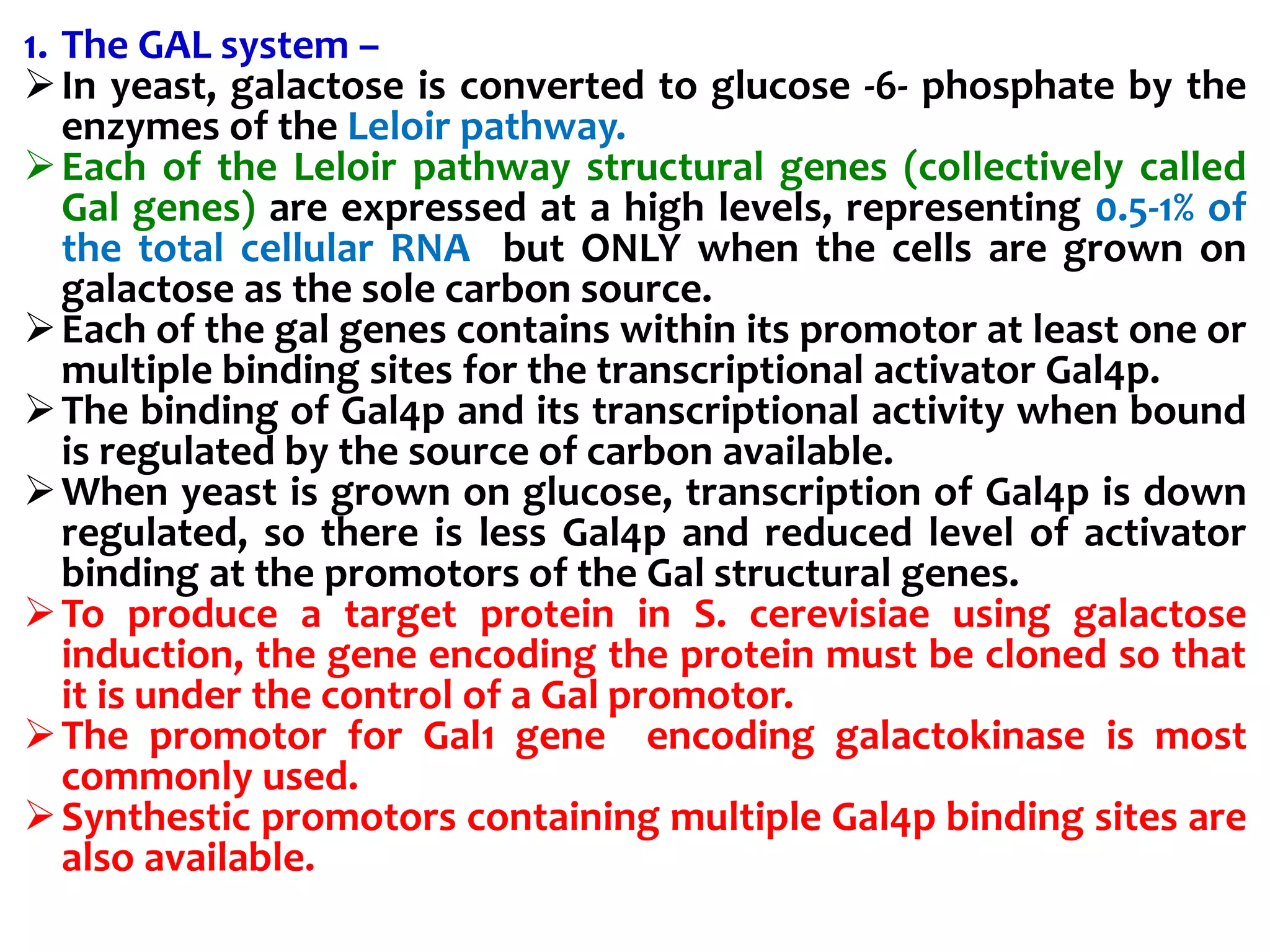 1. The GAL system –
In yeast, galactose is converted to glucose -6- phosphate by the
enzymes of the Leloir pathway.
Each of the Leloir pathway structural genes (collectively called
Gal genes) are expressed at a high levels, representing 0.5-1% of
the total cellular RNA but ONLY when the cells are grown on
galactose as the sole carbon source.
Each of the gal genes contains within its promotor at least one or
multiple binding sites for the transcriptional activator Gal4p.
The binding of Gal4p and its transcriptional activity when bound
is regulated by the source of carbon available.
When yeast is grown on glucose, transcription of Gal4p is down
regulated, so there is less Gal4p and reduced level of activator
binding at the promotors of the Gal structural genes.
To produce a target protein in S. cerevisiae using galactose
induction, the gene encoding the protein must be cloned so that
it is under the control of a Gal promotor.
The promotor for Gal1 gene encoding galactokinase is most
commonly used.
Synthestic promotors containing multiple Gal4p binding sites are
also available.
 