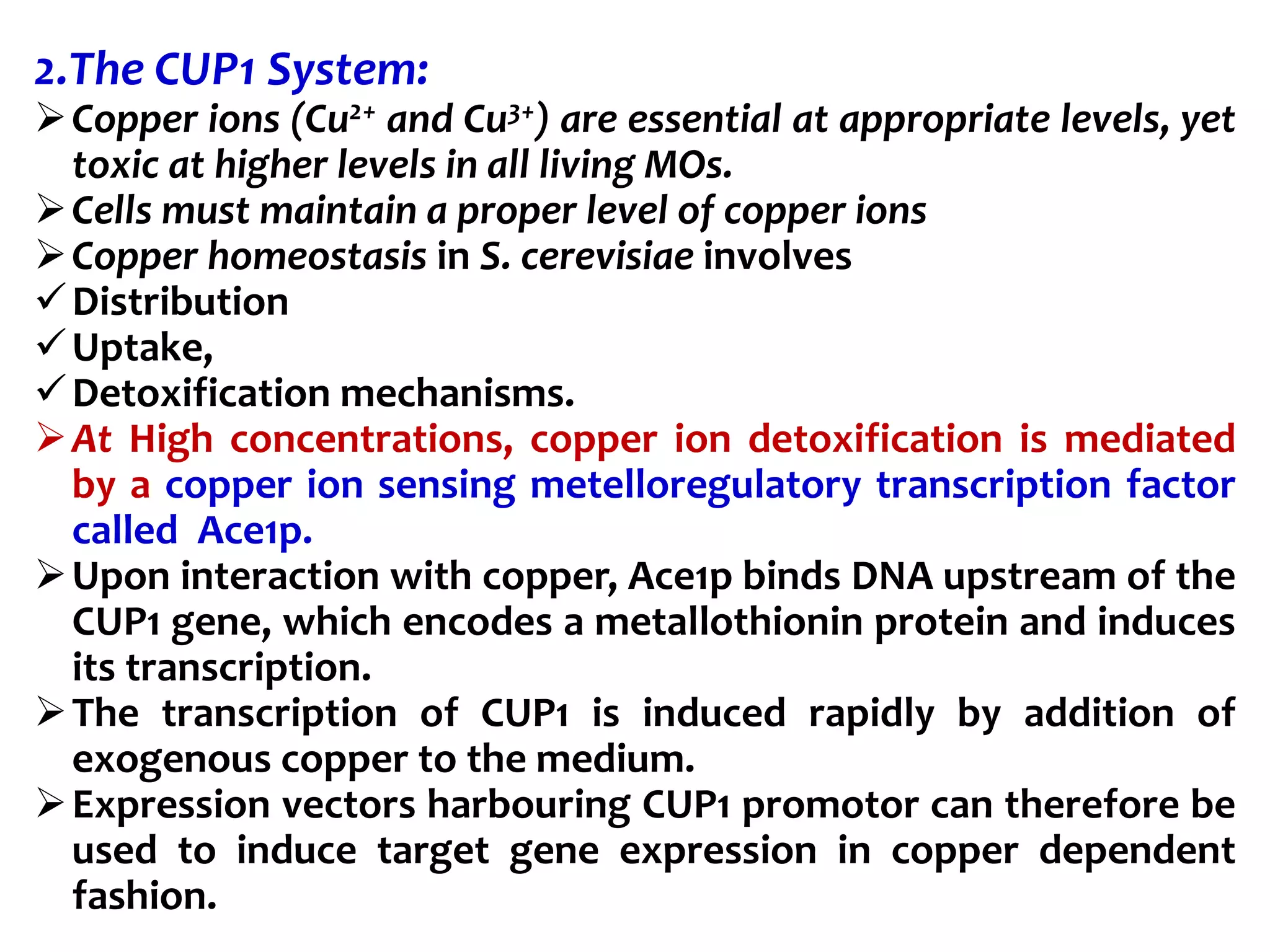 2.The CUP1 System:
Copper ions (Cu2+ and Cu3+) are essential at appropriate levels, yet
toxic at higher levels in all living MOs.
Cells must maintain a proper level of copper ions
Copper homeostasis in S. cerevisiae involves
Distribution
Uptake,
Detoxification mechanisms.
At High concentrations, copper ion detoxification is mediated
by a copper ion sensing metelloregulatory transcription factor
called Ace1p.
Upon interaction with copper, Ace1p binds DNA upstream of the
CUP1 gene, which encodes a metallothionin protein and induces
its transcription.
The transcription of CUP1 is induced rapidly by addition of
exogenous copper to the medium.
Expression vectors harbouring CUP1 promotor can therefore be
used to induce target gene expression in copper dependent
fashion.
 