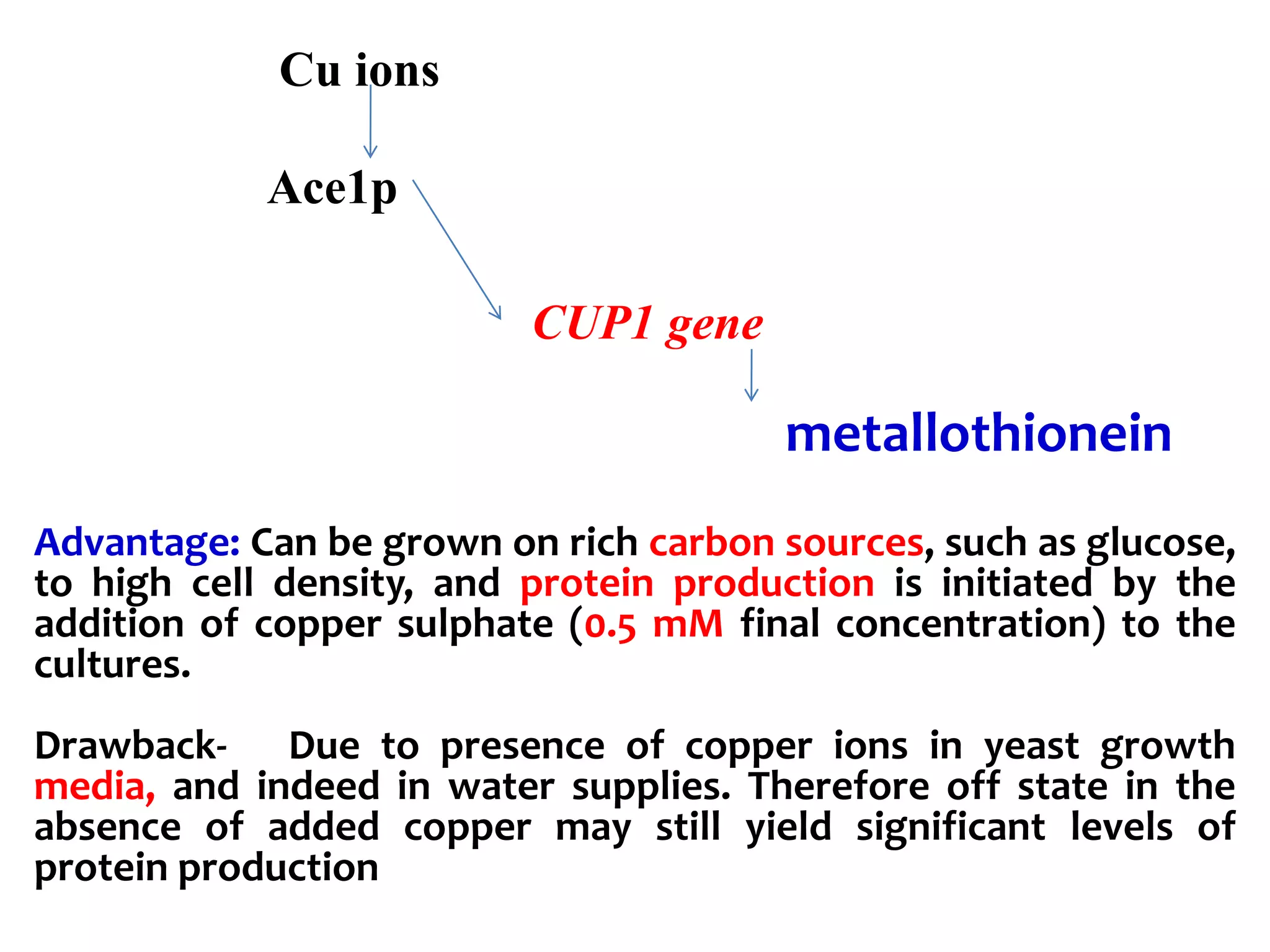 Cu ions
Ace1p
CUP1 gene
metallothionein
Advantage: Can be grown on rich carbon sources, such as glucose,
to high cell density, and protein production is initiated by the
addition of copper sulphate (0.5 mM final concentration) to the
cultures.
Drawback- Due to presence of copper ions in yeast growth
media, and indeed in water supplies. Therefore off state in the
absence of added copper may still yield significant levels of
protein production
 