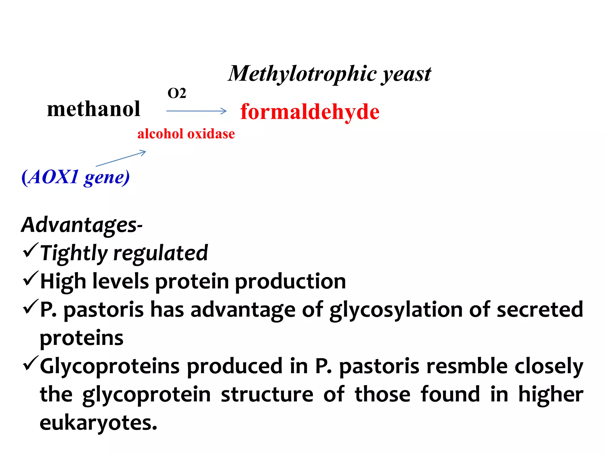 Methylotrophic yeast
methanol formaldehyde
O2
alcohol oxidase
(AOX1 gene)
Advantages-
Tightly regulated
High levels protein production
P. pastoris has advantage of glycosylation of secreted
proteins
Glycoproteins produced in P. pastoris resmble closely
the glycoprotein structure of those found in higher
eukaryotes.
 