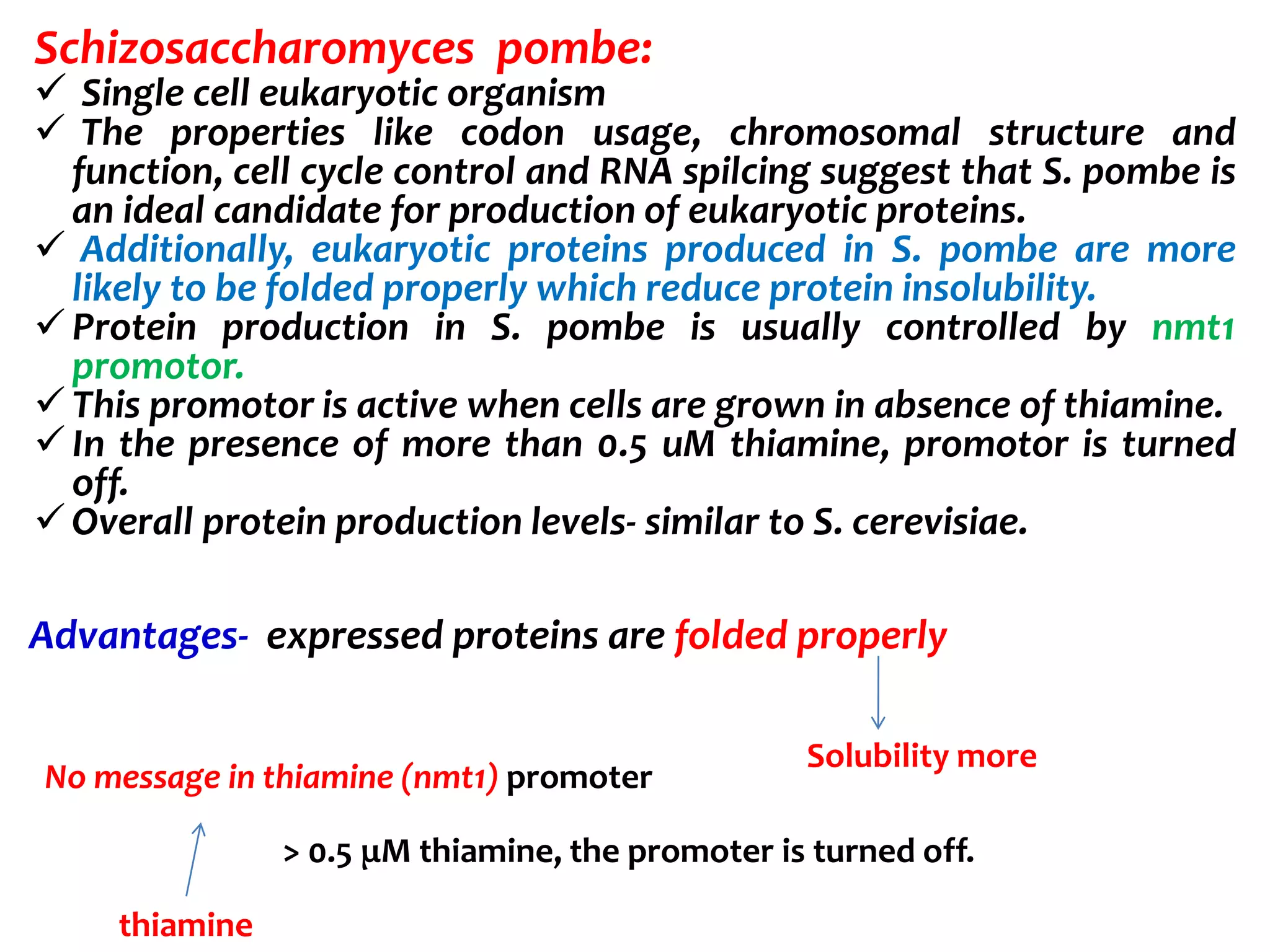 Schizosaccharomyces pombe:
 Single cell eukaryotic organism
 The properties like codon usage, chromosomal structure and
function, cell cycle control and RNA spilcing suggest that S. pombe is
an ideal candidate for production of eukaryotic proteins.
 Additionally, eukaryotic proteins produced in S. pombe are more
likely to be folded properly which reduce protein insolubility.
 Protein production in S. pombe is usually controlled by nmt1
promotor.
 This promotor is active when cells are grown in absence of thiamine.
 In the presence of more than 0.5 uM thiamine, promotor is turned
off.
 Overall protein production levels- similar to S. cerevisiae.
Advantages- expressed proteins are folded properly
Solubility more
No message in thiamine (nmt1) promoter
thiamine
> 0.5 μM thiamine, the promoter is turned off.
 