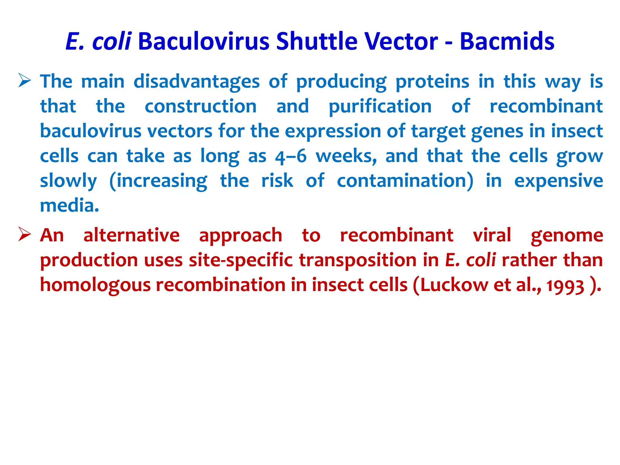  The main disadvantages of producing proteins in this way is
that the construction and purification of recombinant
baculovirus vectors for the expression of target genes in insect
cells can take as long as 4–6 weeks, and that the cells grow
slowly (increasing the risk of contamination) in expensive
media.
 An alternative approach to recombinant viral genome
production uses site-specific transposition in E. coli rather than
homologous recombination in insect cells (Luckow et al., 1993 ).
E. coli Baculovirus Shuttle Vector - Bacmids
 