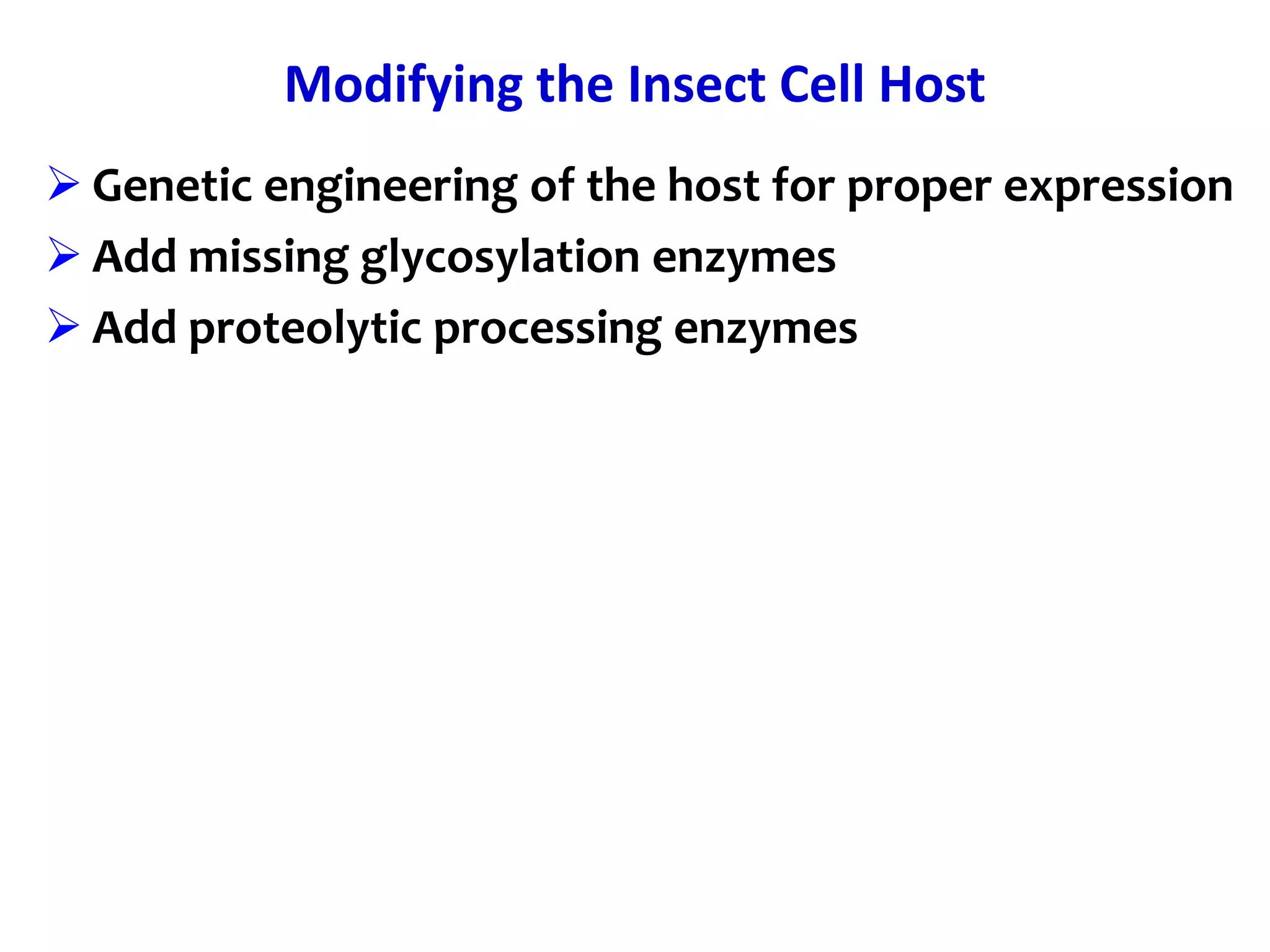 Modifying the Insect Cell Host
 Genetic engineering of the host for proper expression
 Add missing glycosylation enzymes
 Add proteolytic processing enzymes
 