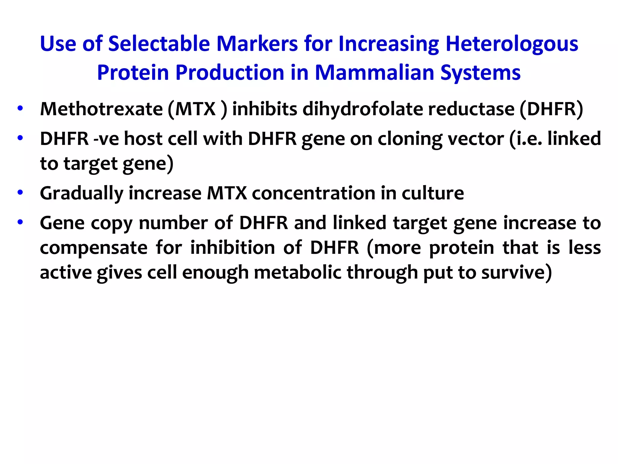 Use of Selectable Markers for Increasing Heterologous
Protein Production in Mammalian Systems
• Methotrexate (MTX ) inhibits dihydrofolate reductase (DHFR)
• DHFR -ve host cell with DHFR gene on cloning vector (i.e. linked
to target gene)
• Gradually increase MTX concentration in culture
• Gene copy number of DHFR and linked target gene increase to
compensate for inhibition of DHFR (more protein that is less
active gives cell enough metabolic through put to survive)
 
