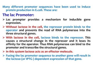 Many different promoter sequences have been used to induce
protein production in E.coli. These are:
The lac Promoter:
 Lac prompter provides a mechanism for inducible gene
expression.
 Without lactose in the cell, the repressor protein binds to the
operator and prevents the read of RNA polymerase into the
three structural genes.
 With lactose in the cell, lactose binds to the repressor. This
causes a structural change in the repressor and it loses its
affinity for the operator. Thus RNA polymerase can bind to the
promoter and transcribe the structural genes.
 In this system lactose acts as an effector molecule.
 Fusing the lac promoter sequence to another gene will result in
the lactose-(or IPTG-) dependent expression of that gene.
 